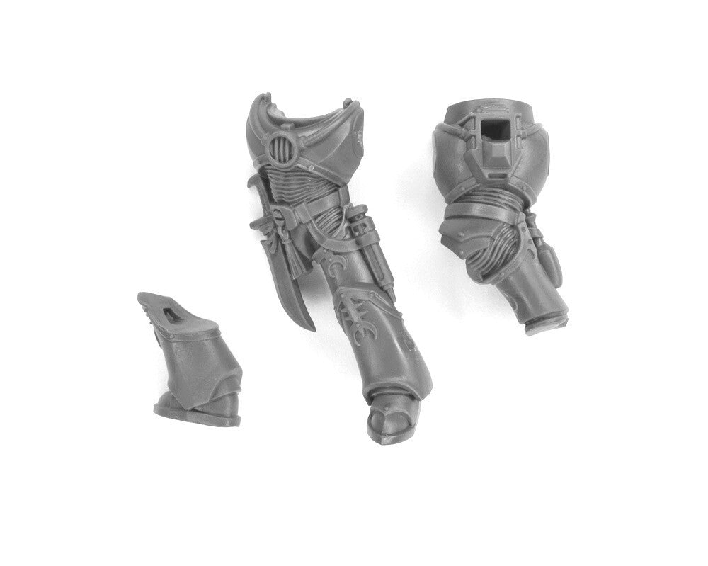 Torso Beine Brust Tormentors Infractors B3088