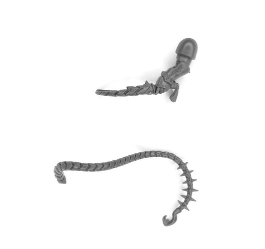 Erquickliche Peitsche Tormentors Infractors B3103