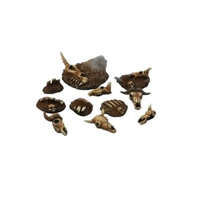 Animal Skulls & Bones Schädel Basegestaltung Kromlech KRBK006