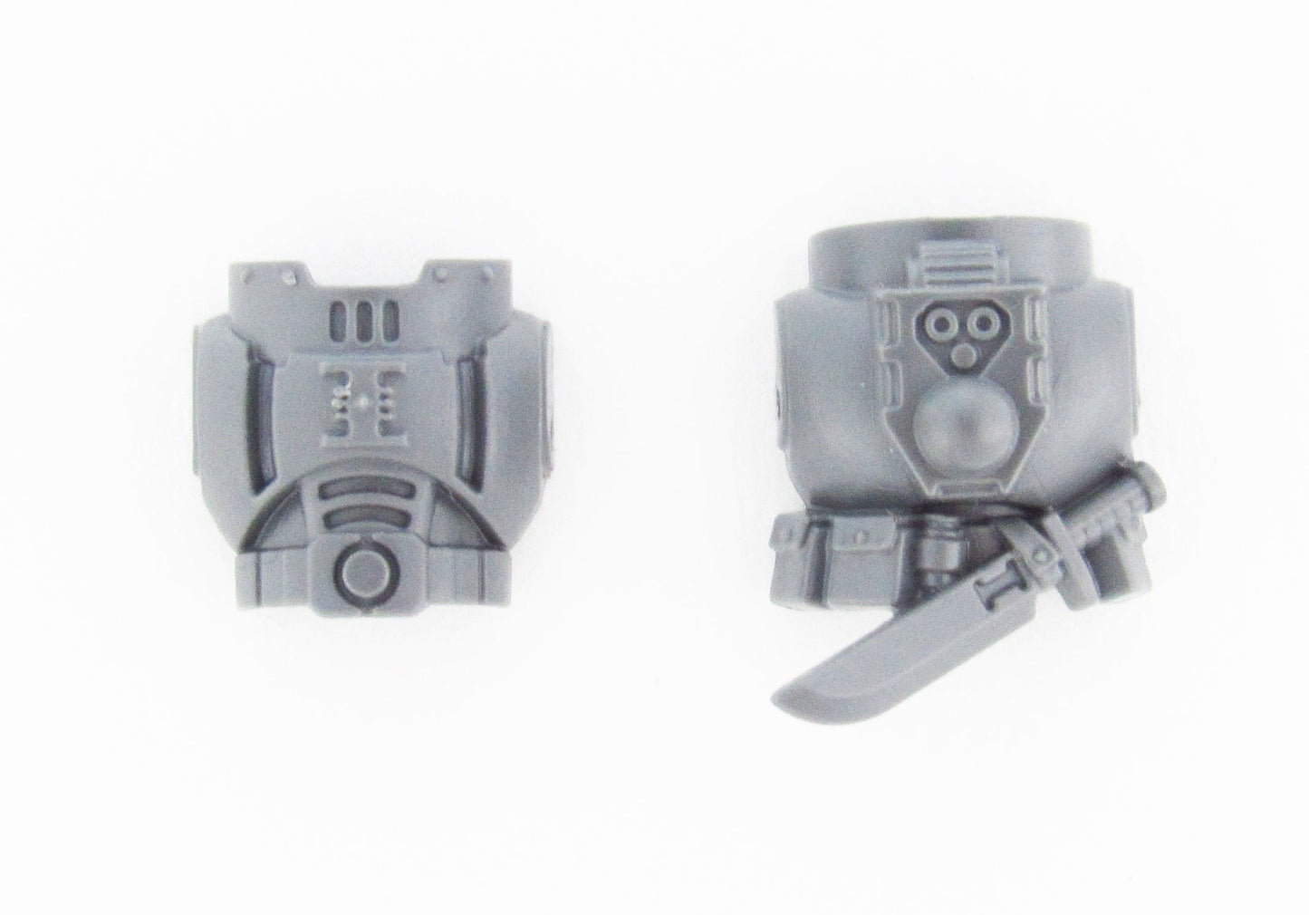 Chest/Back Deathwatch Veterans B1574