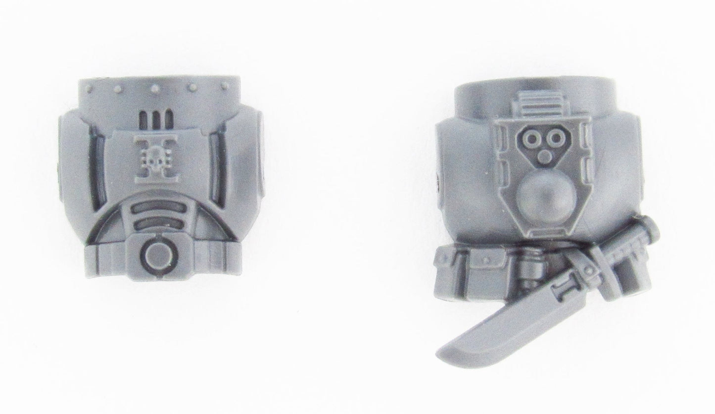 Chest/Back Deathwatch Veterans B1576