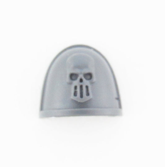 Silver Skulls Schulterpanzer Deathwatch Veterans B1595