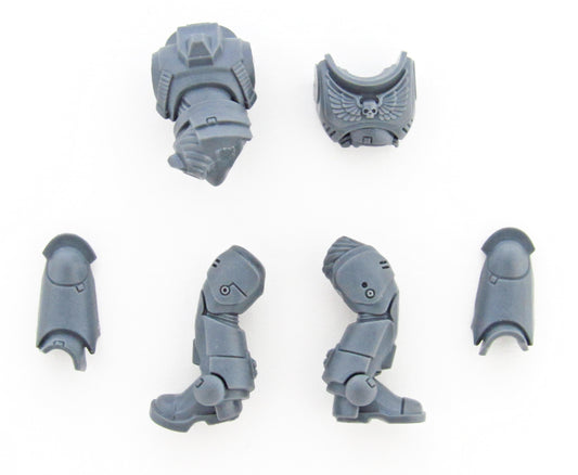 Torso Beine Primaris Intercessors B1930