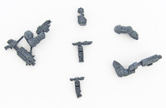 Boltgewehr Auswahl Primaris Intercessors B1948