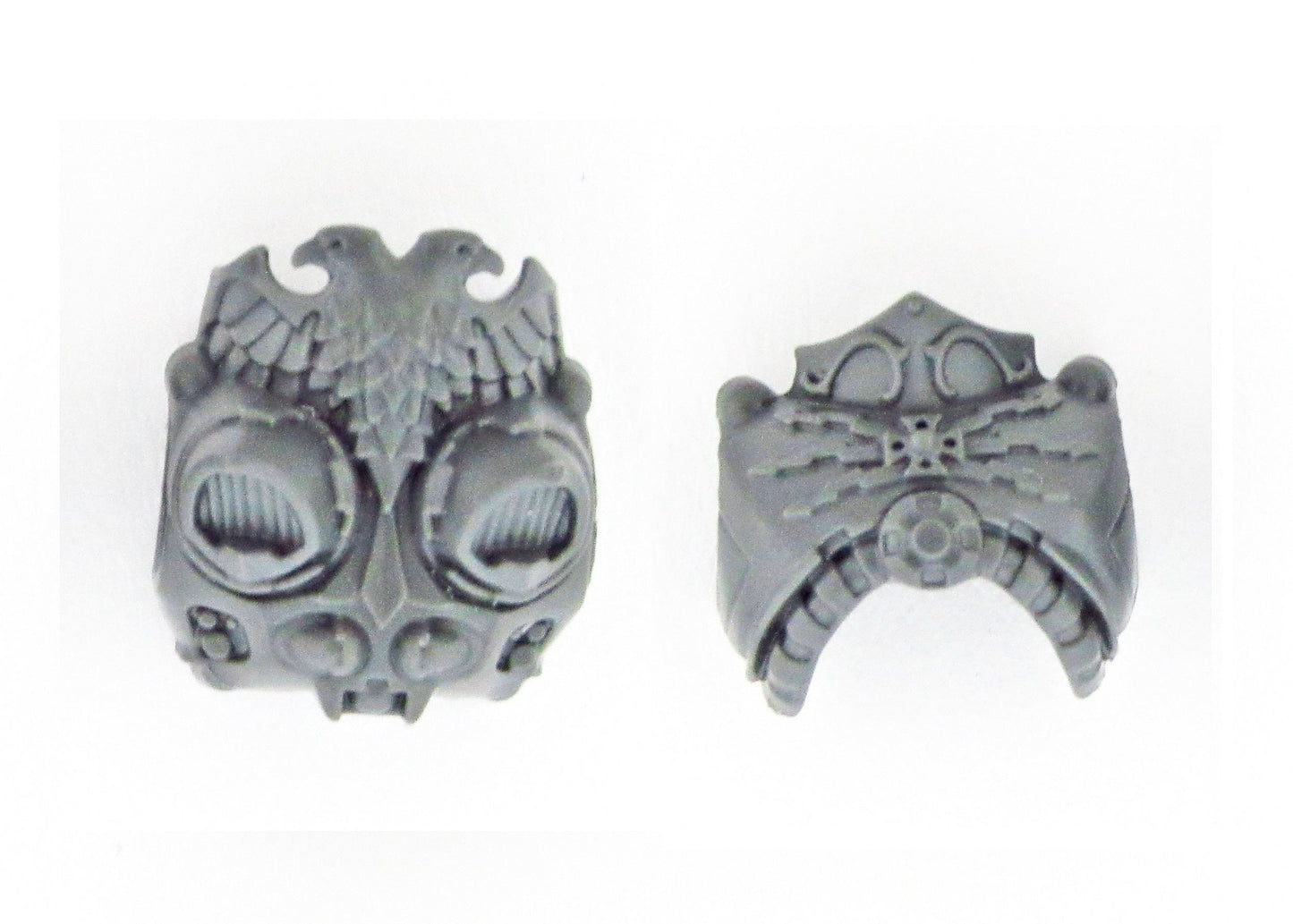 Body Chest Back B1976