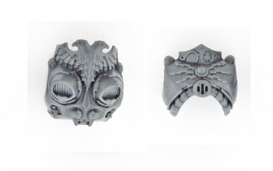 Body Chest Back B1977