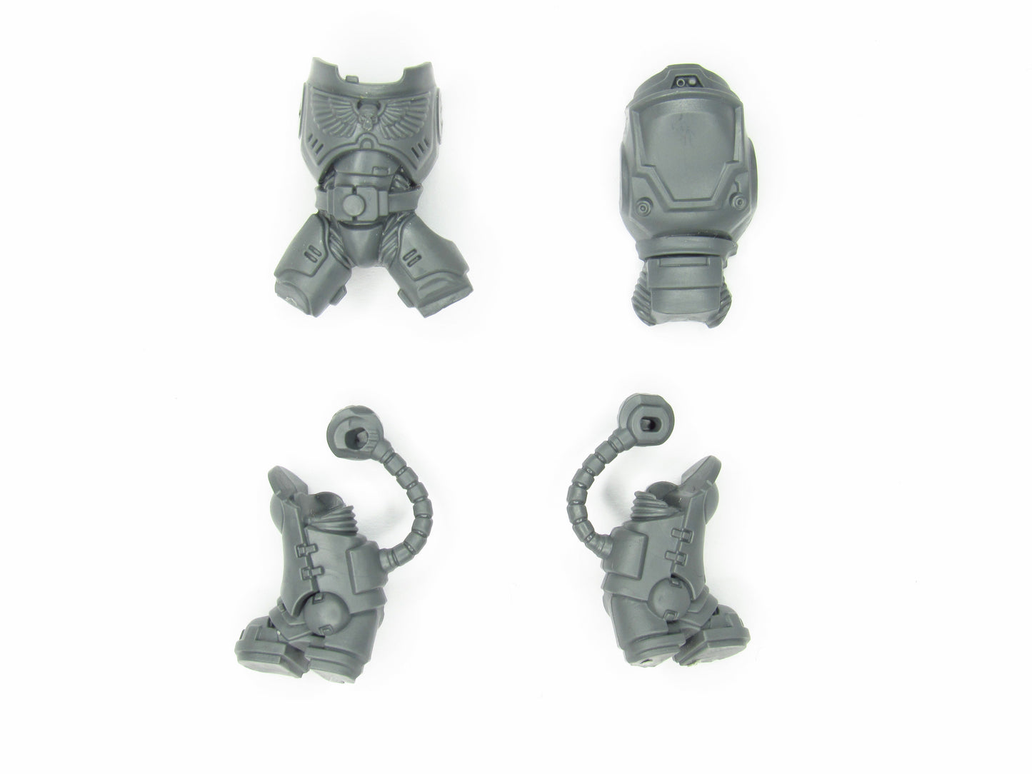 Torso Brust Beine Heavy Intercessors B2370