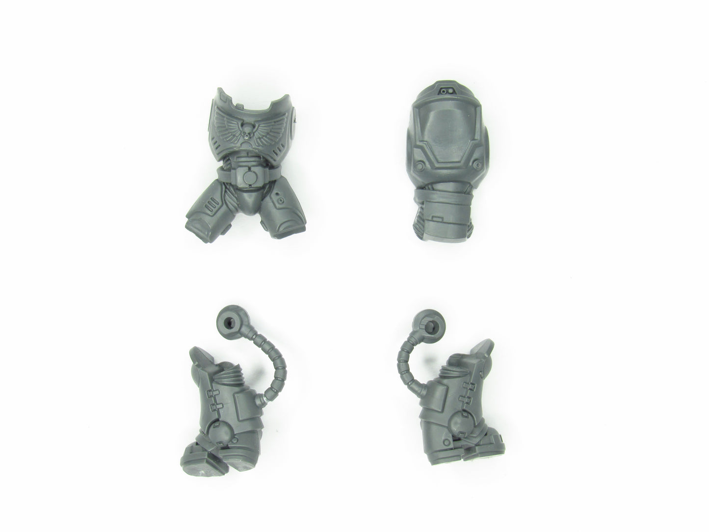 Torso Brust Beine Heavy Intercessors B2371
