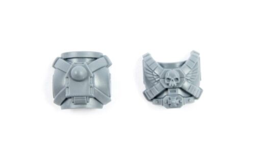 Torso Brust Rücken Vanguard Veteran Squad B0566