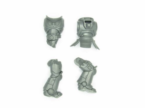 Torso Assault Intercessors B2253