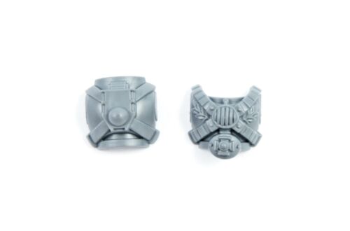 Torso Brust Rücken Vanguard Veteran Squad B0563