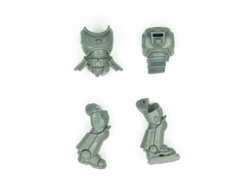 Torso Assault Intercessors B2250