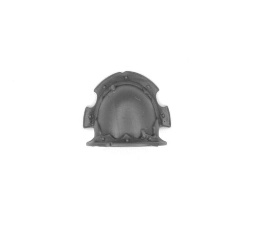 Schulterpanzer Chosen B3065