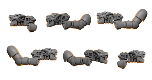 6x Plasmapistole Anvil Wardens