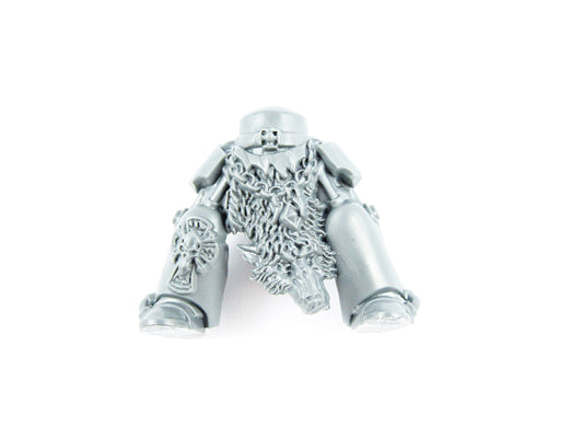 Beine Wolf Guard Terminators B0416