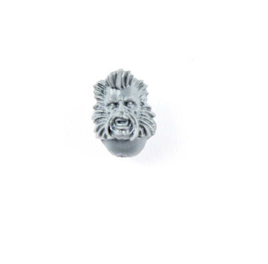 Kopf Wolf Guard Terminators B0441