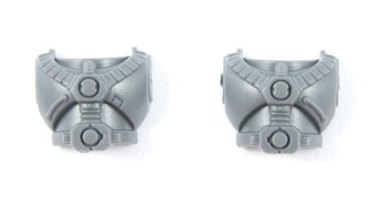2x Brust Devastator Squad B0457