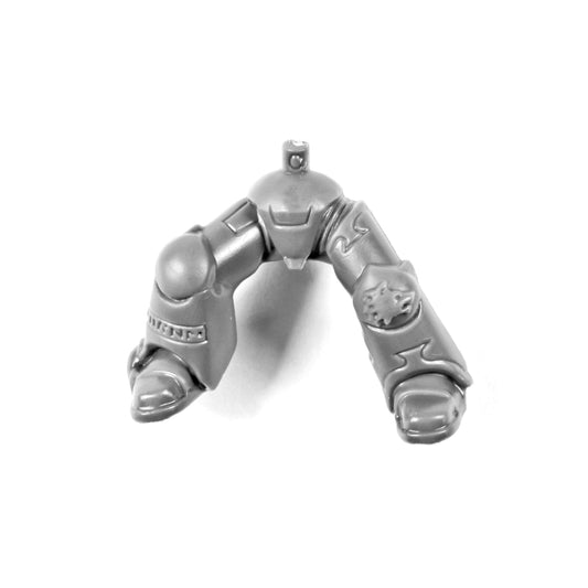 Beine Thunderwolf Cavalry B1019