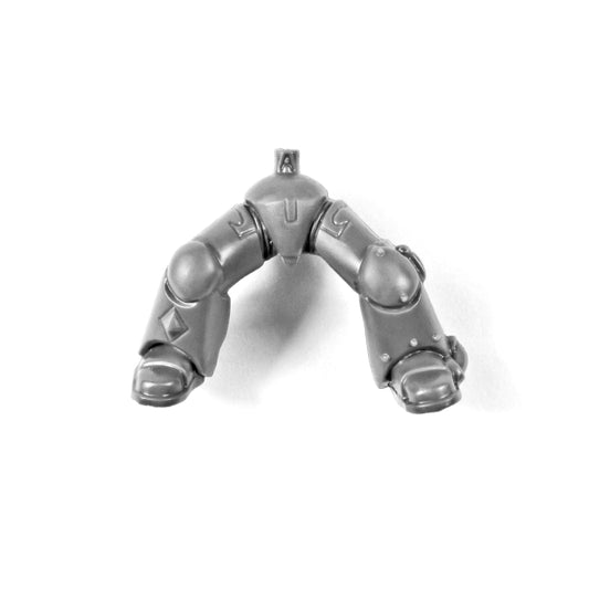 Beine Thunderwolf Cavalry B1020