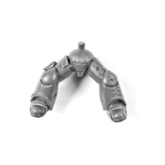 Beine Thunderwolf Cavalry B1021