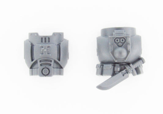 Chest/Back Deathwatch Veterans B1574