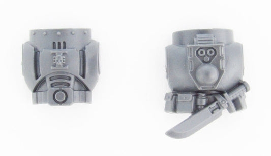 Chest/Back Deathwatch Veterans B1576