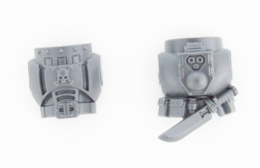 Chest/Back Deathwatch Veterans B1577