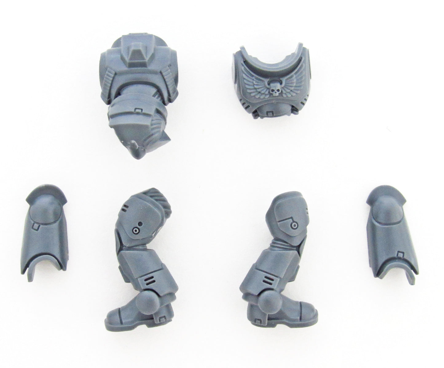 Torso Beine Primaris Intercessors B1934