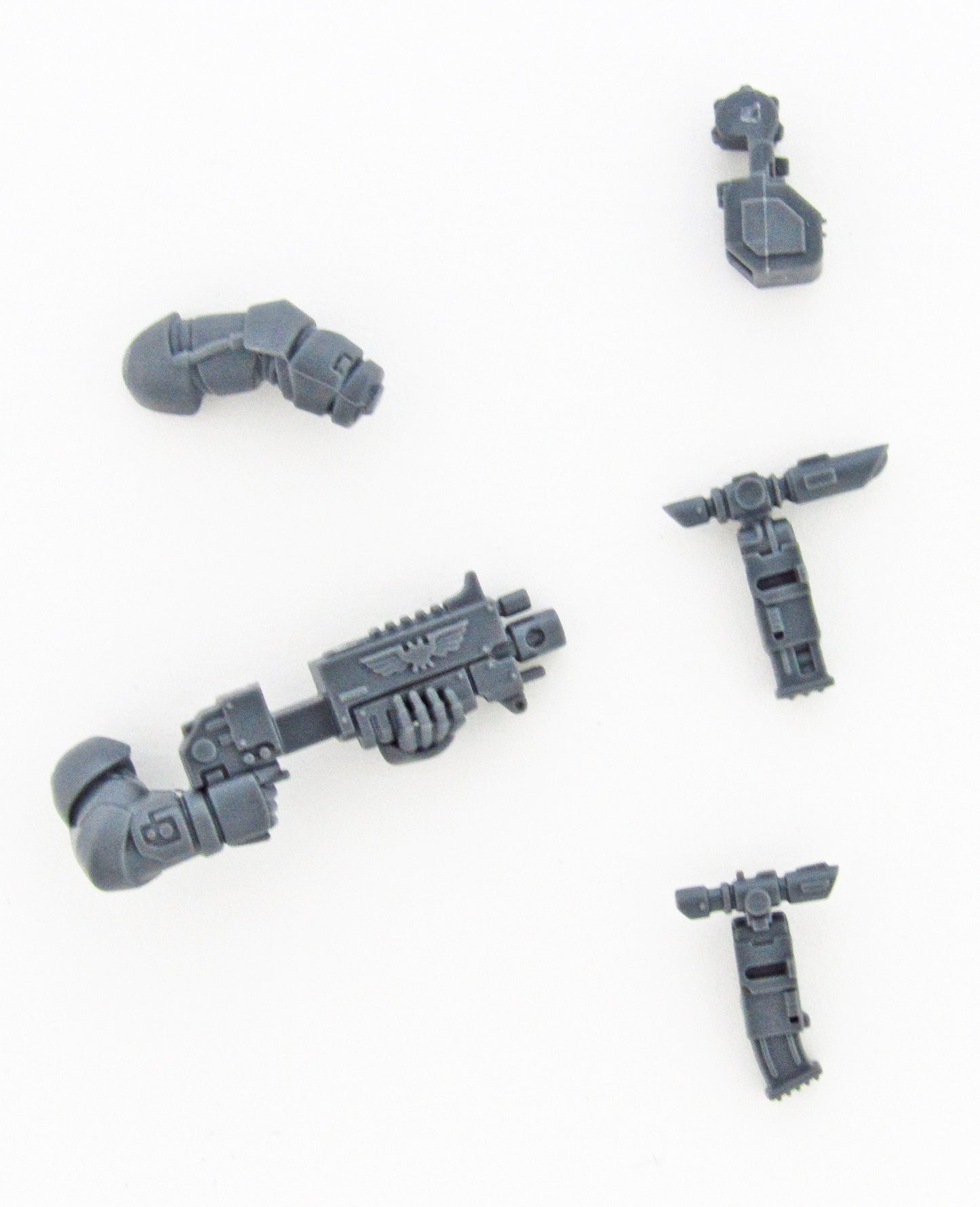 Boltgewehr Auswahl Primaris Intercessors B1949