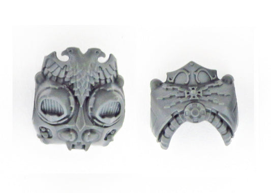 Body Chest Back B1976