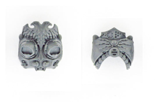 Body Chest Back B1978