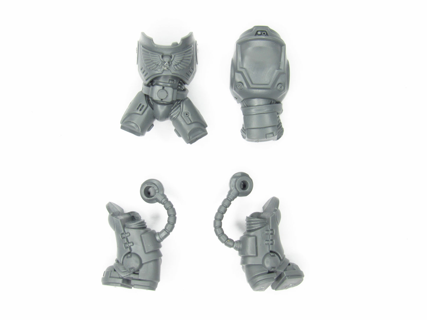 Torso Brust Beine Heavy Intercessors B2367