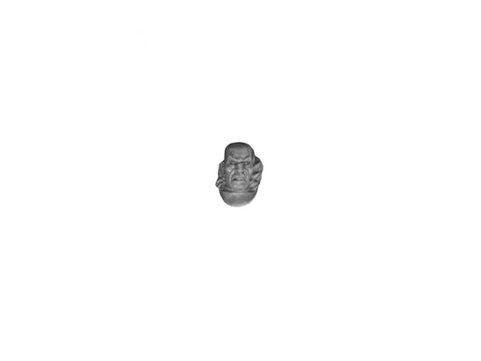 Head Terminator Lord / Sorcerer B2455